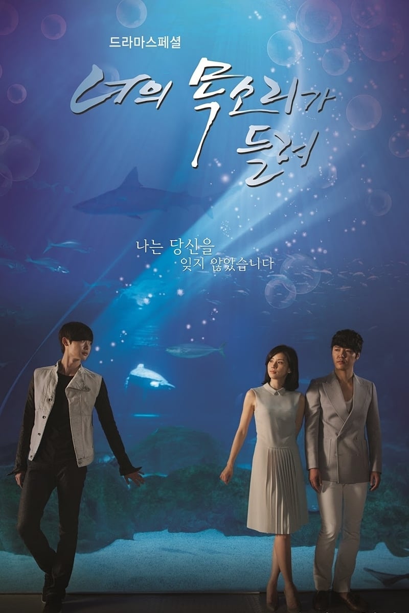 너의 목소리가 들려 (2013)