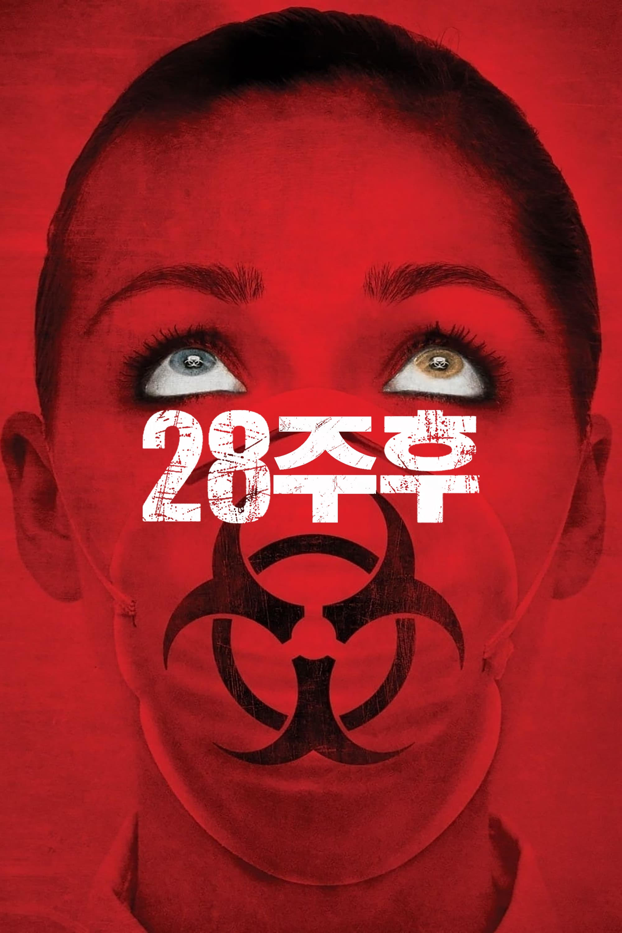 28주 후 (2007)