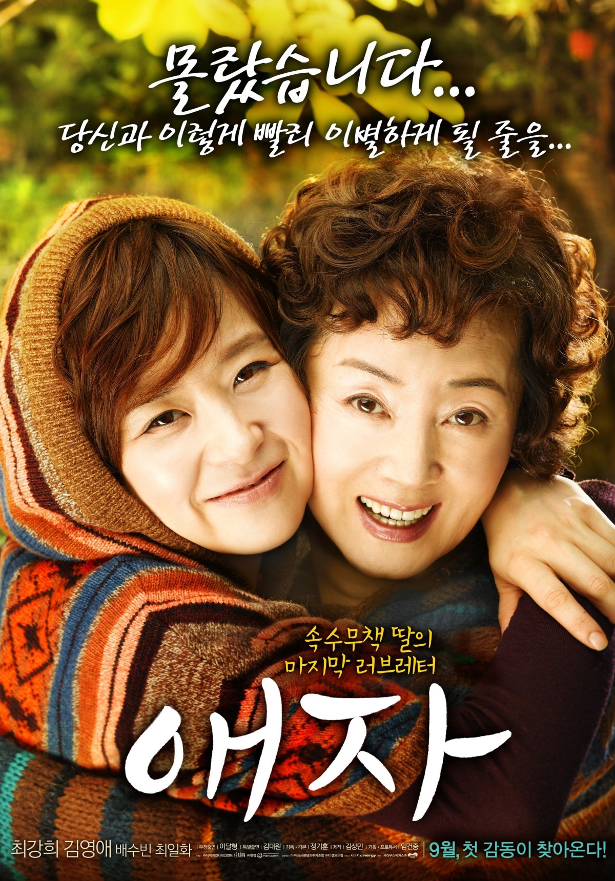 애자 (2009)